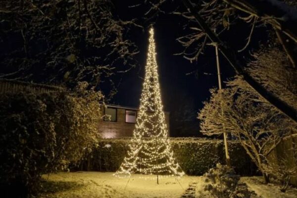 Kerstboom in je Tuin