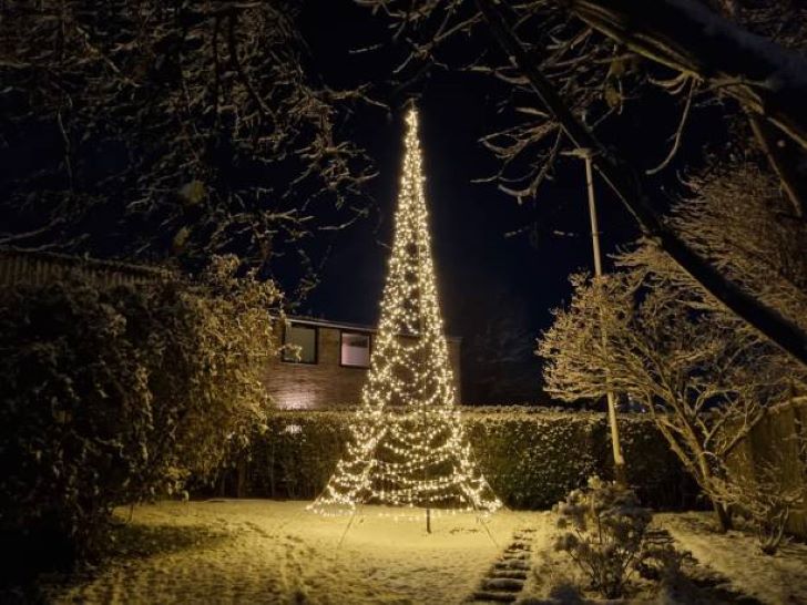 Kerstboom in je Tuin