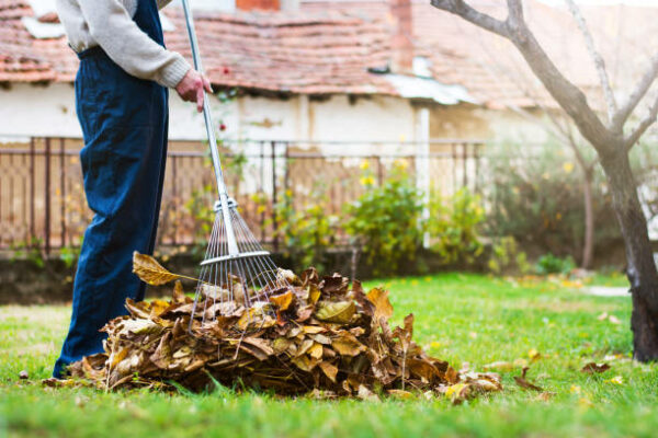 Je Tuin Zomerklaar Maken