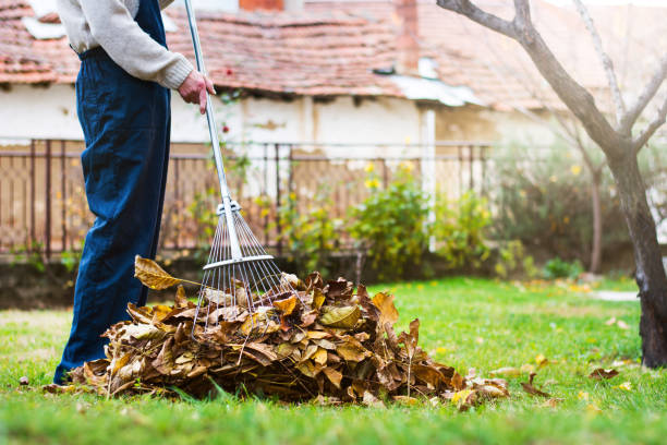 Je Tuin Zomerklaar Maken